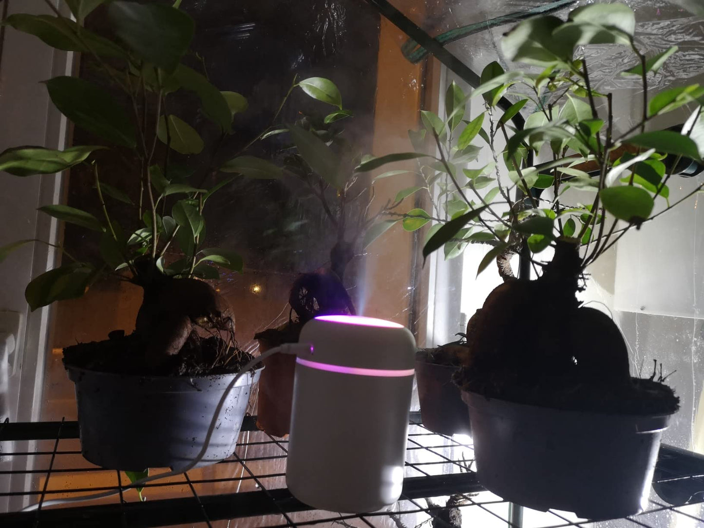 ULTRA - Veilleuse, Silencieuse, Hydratation pendant 6 heures,  Alimentation portable et USB, Deux modes de brume, Arrêt automatique, Contrôle à un bouton